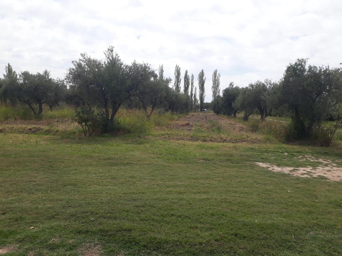 Casa De Campo Las Olivas San Rafael  Eksteriør bilde