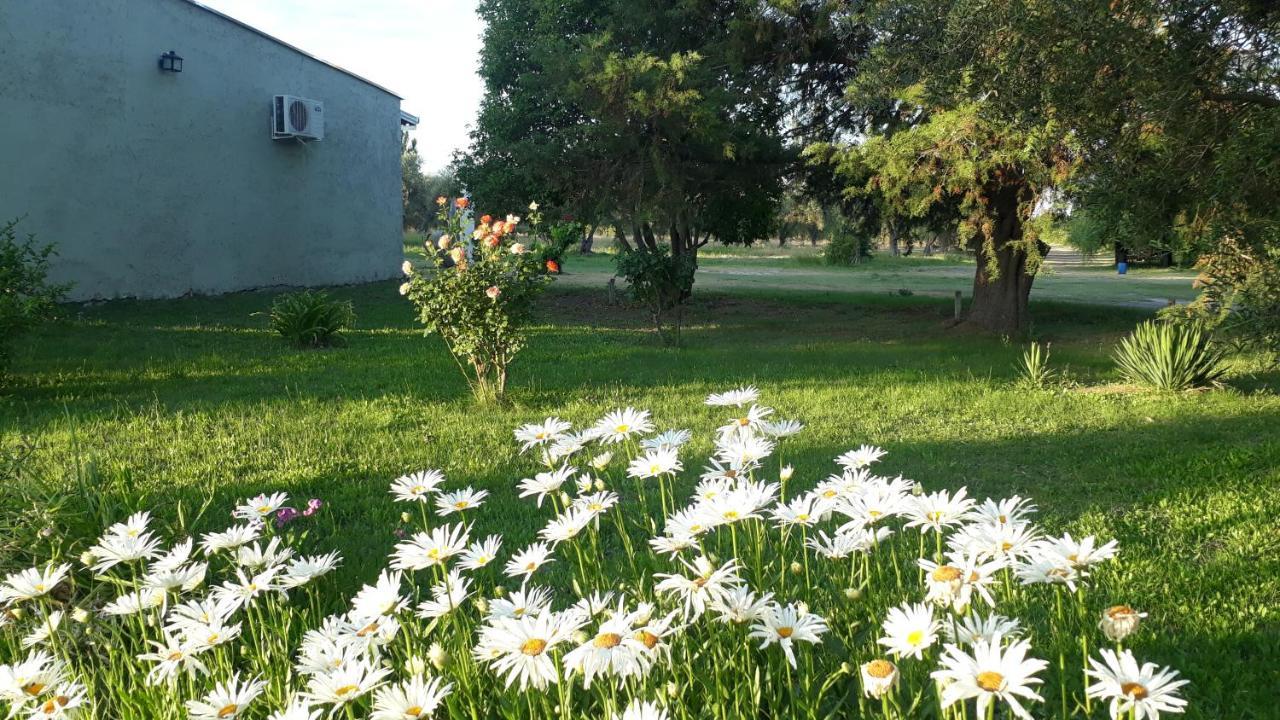Casa De Campo Las Olivas San Rafael  Eksteriør bilde