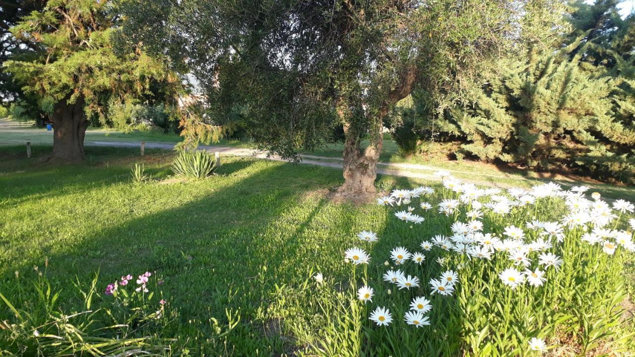 Casa De Campo Las Olivas San Rafael  Eksteriør bilde