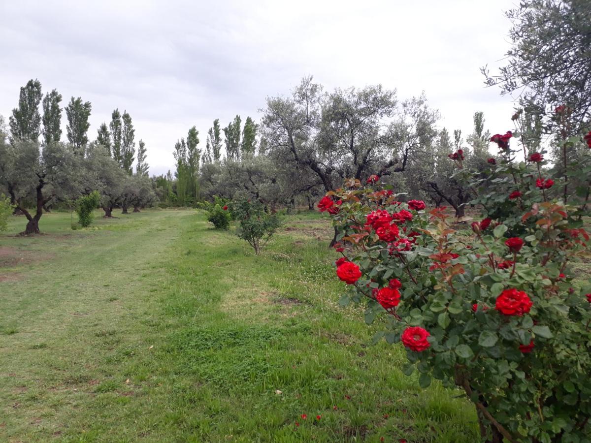 Casa De Campo Las Olivas San Rafael  Eksteriør bilde